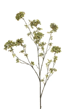 Hydrangea maple spray green 120cm