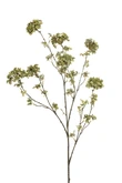 Hydrangea maple spray green 120cm
