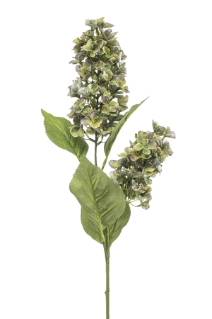 Hydrangea paniculata spray green 76cm