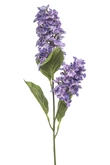 Hydrangea paniculata spray purple 76cm