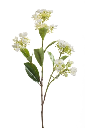 Hydrangea spray cream 75cm