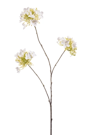 Hydrangea spray w buds white 82cm