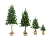 Janga tree woods - 218 tips - H 90 x D 55 cm - afbeelding 2