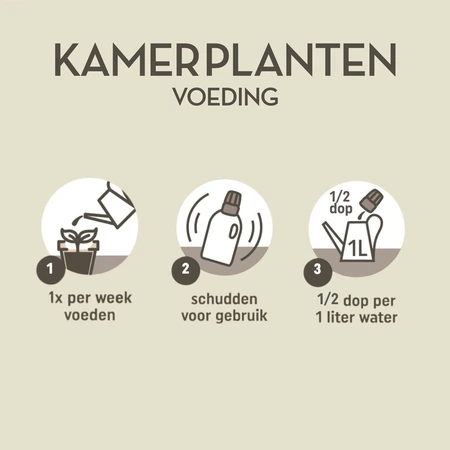 Kamerplanten 1000ml - afbeelding 3