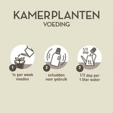 Kamerplanten 1000ml - afbeelding 3