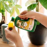 Kamerplanten 1000ml - afbeelding 4