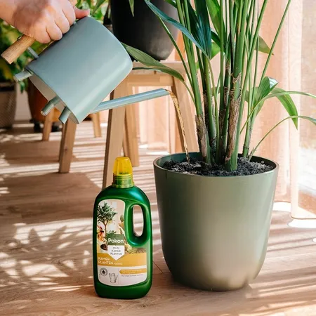 Kamerplanten 1000ml - afbeelding 5