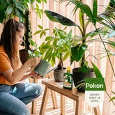 Kamerplanten 1000ml - afbeelding 6