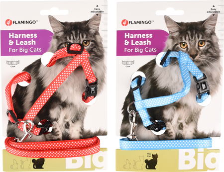 Kat Harnas met looplijn Aiwa Meerdere kleuren 25-40cm 35-55cm 10 - afbeelding 2