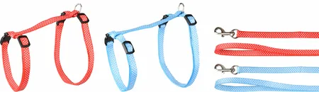 Kat Harnas met looplijn Aiwa Meerdere kleuren 25-40cm 35-55cm 10 - afbeelding 1