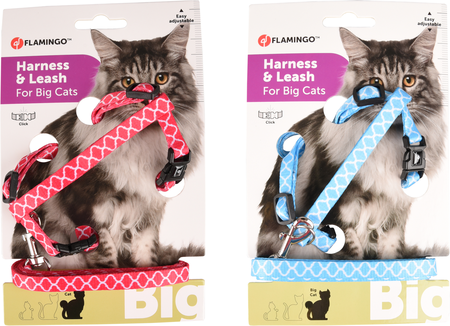Kat Harnas met looplijn Amsi Meerdere kleuren 25-40cm 35-55cm 10 - afbeelding 2
