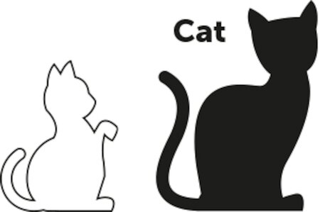 Kattenhalsband Aiwa 20-35Cm 10Mm - afbeelding 1