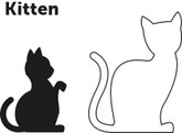 Kittenhalsband Ziggi Zwart