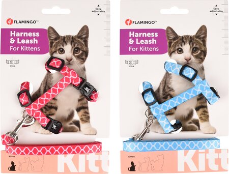 KITTENHARNAS + LIJN AMSI 15-25CM 10MM ASSORTIMENT - afbeelding 9