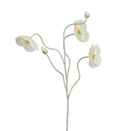 Klaproos creme - l107cm