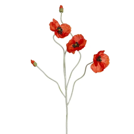 Klaproos rood - l107cm