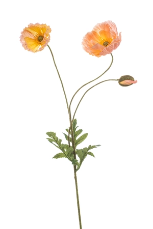 Klaproos Tak Zijde - 75cm Perzik x3