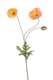 Klaproos Tak Zijde - 75cm Perzik x3