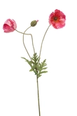Klaproos Tak Zijde - 75cm Roze x3