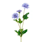 Korenbloem blauw - l66cm