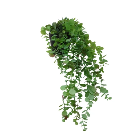 Kunst hangplant Eucalyptus L 55 cm met pot