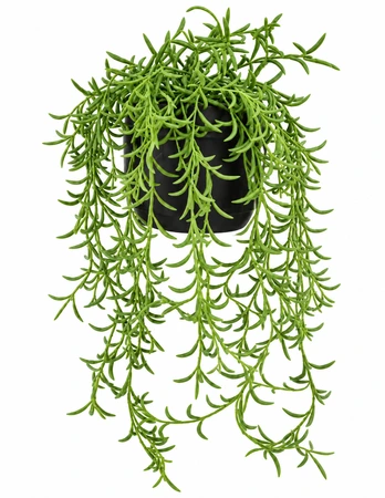 Kunst hangplant Othonna H 48 cm met pot