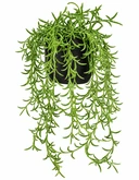 Kunst hangplant Othonna H 48 cm met pot