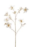 Kunstbloem Bauhinia branch cream /gold 114cm