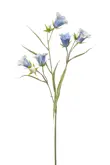 Kunstbloem Campanula spray x3 lt blue 65cm