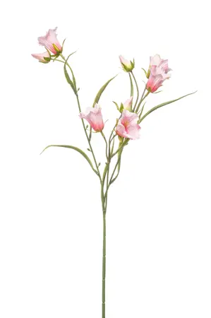 Kunstbloem Campanula spray x3 lt pink 65cm