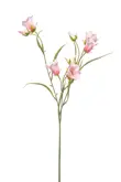 Kunstbloem Campanula spray x3 lt pink 65cm