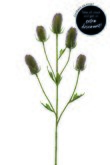 Kunstbloem Dipsacus spray x5 paars 90cm