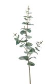 Kunstbloem Eucalyptus spray 68cm groen/grijs