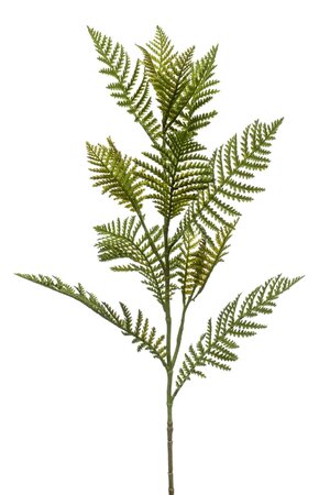 Kunstbloem Fern spray 82cm groen