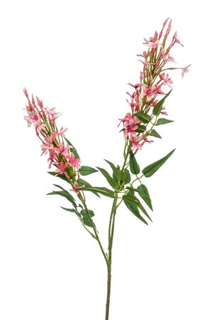 Kunstbloem Jasmine spray x2 roze 80cm