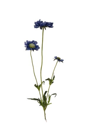 Kunstbloem Scabiosa spray x3 65cm lt blauw