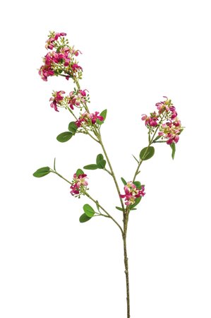 Kunstbloem Verbena spray fuchsia 77cm