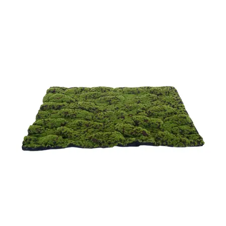 Kunstmos Mat Medium Groen-Bruin