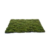 Kunstmos Mat Medium Groen-Bruin
