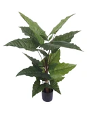 Kunstplant Alocacia H 150 cm