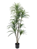 Kunstplant Dracaena H 155 cm