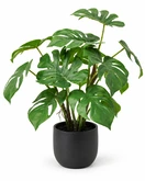 Kunstplant Monstera H 50 cm