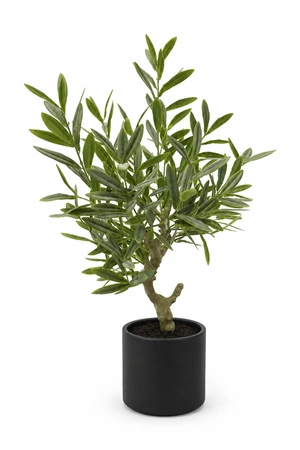 Kunstplant Olijfboom H 80 cm