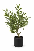 Kunstplant Olijfboom H 80 cm