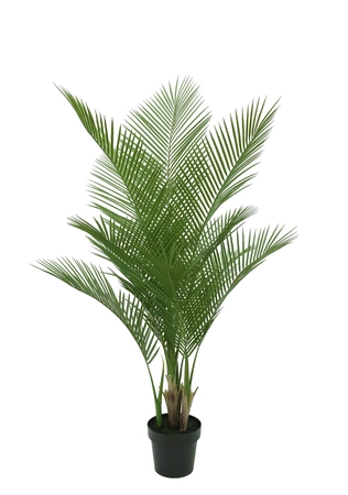 Kunstplant Palm H 180 cm