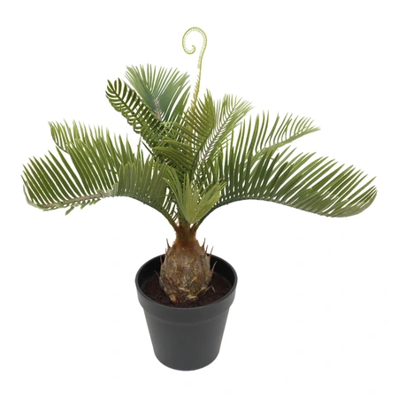 Kunstplant Palmvaren H 41 cm