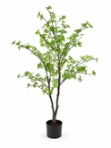 Kunstplant Schefflera - H130cm