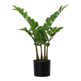 Kunstplant Zamioculcas H 65 cm