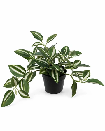 Kunstplant Zebrina H 20 cm