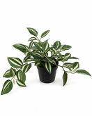Kunstplant Zebrina H 20 cm